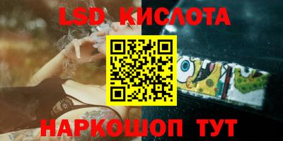винт Славгород