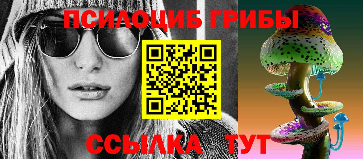 Новочебоксарск  Псилоцибиновые грибы MAGIC MUSHROOMS  Вход с VPN 