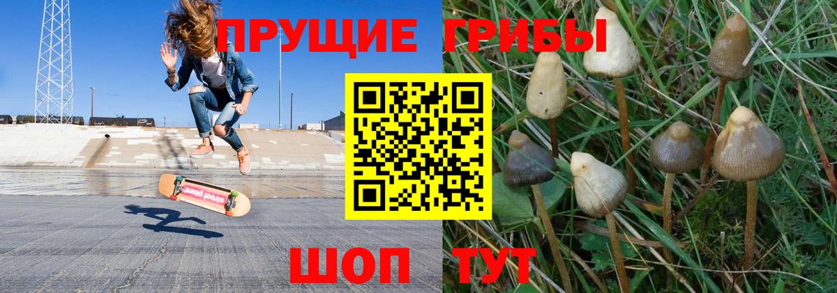 Псилоцибиновые грибы ЛСД Новочебоксарск